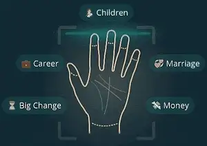 Palm Photo Guide